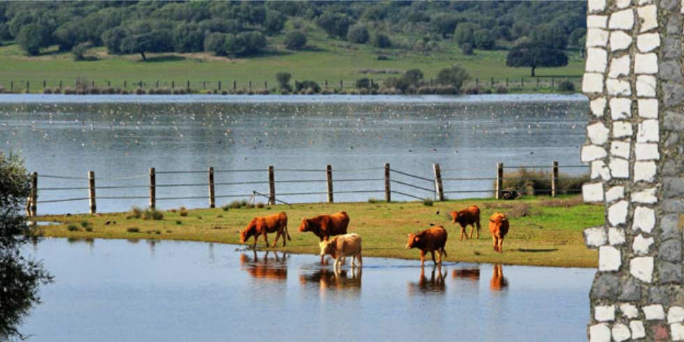 Parque Natural Doñana